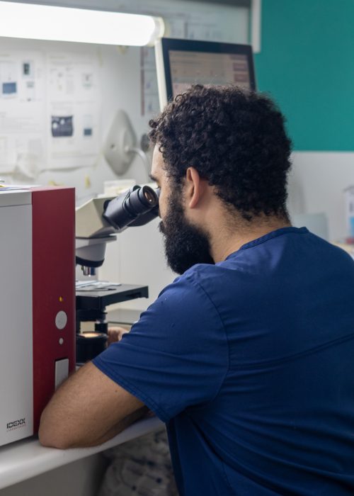 Analíticas y microscopía
