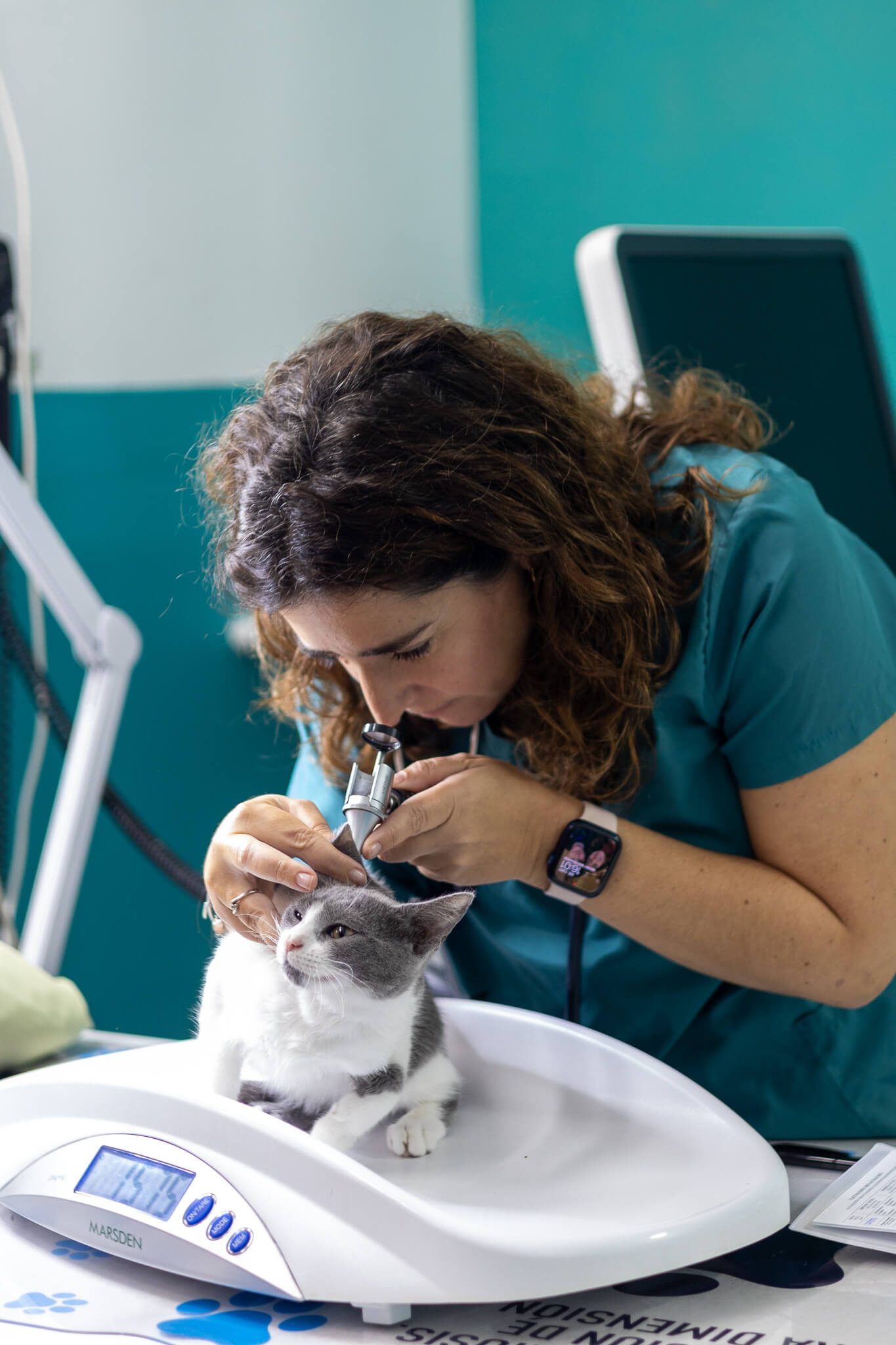 Veterinaria pesando a un gatito en consulta