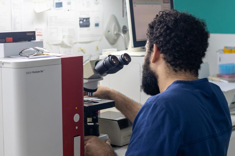 Diagnóstico dermatológico