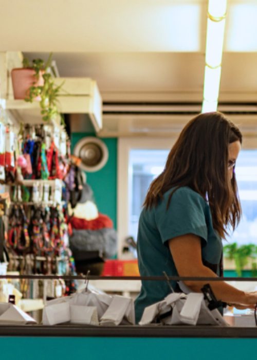 Recepción y mostrador de la tienda